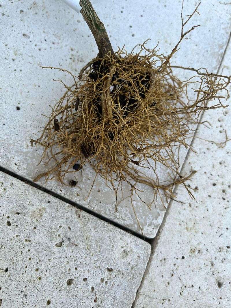 Skip The Surface, This Is Where Real Moisture Hides Skip The Surface, This Is Where Real Moisture Hides