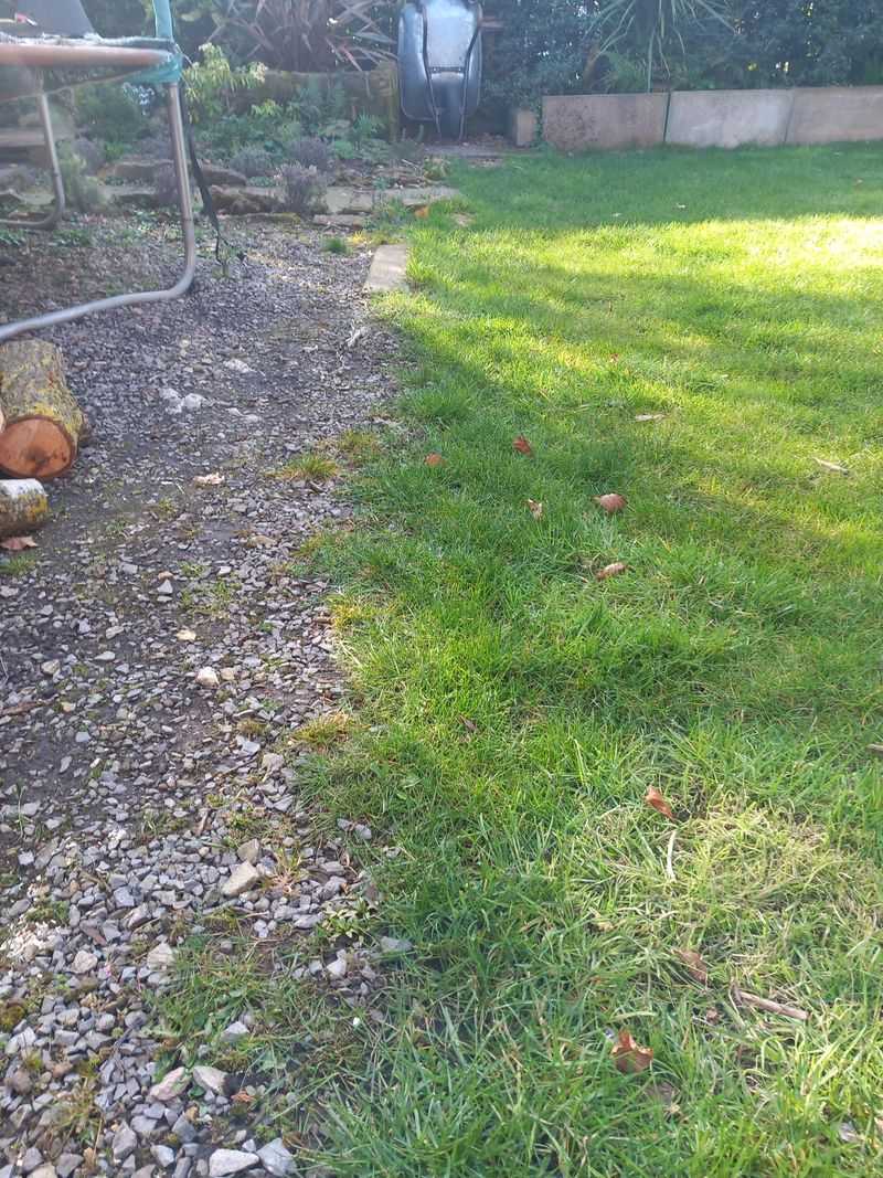 Skipping Gravel Between Woods And Lawn Skipping Gravel Between Woods And Lawn