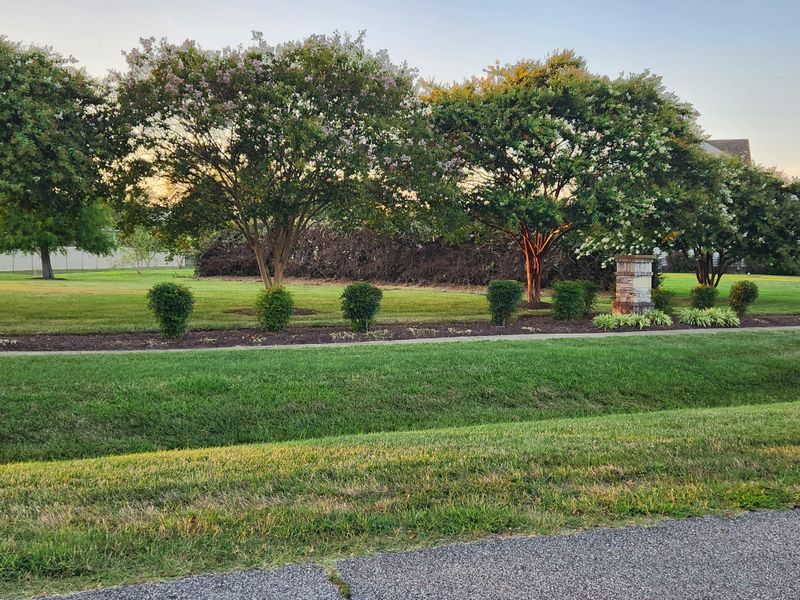 Skipping HOA Approval Before Planting Skipping HOA Approval Before Planting