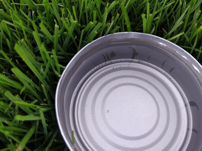 Skipping The Tuna Can Test