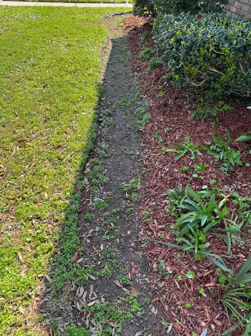 Skipping The Wood Chip Or Gravel Barrier Skipping The Wood Chip Or Gravel Barrier