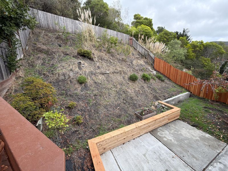 Sloped Yards Need Wider Plant Spacing Sloped Yards Need Wider Plant Spacing