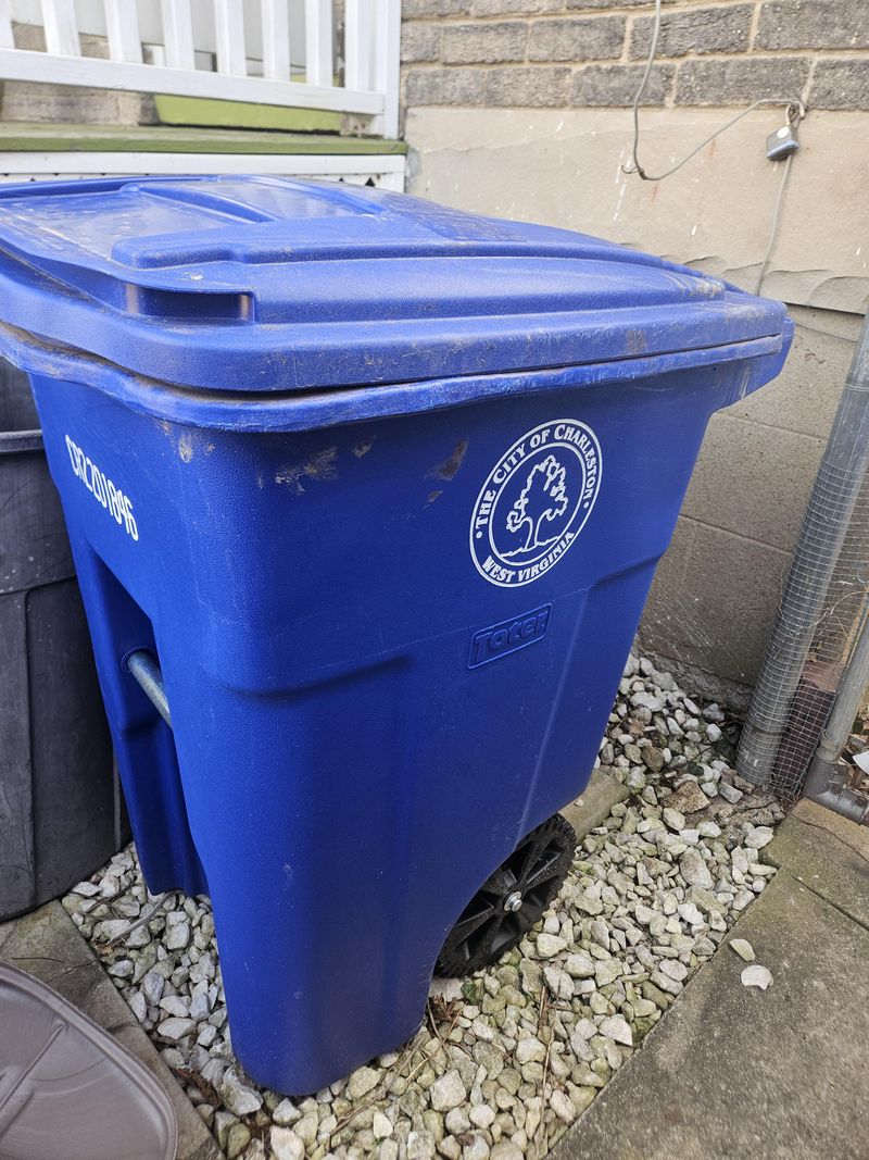Small Pets And Unsecured Trash Can Attract Repeated Visits Small Pets And Unsecured Trash Can Attract Repeated Visits
