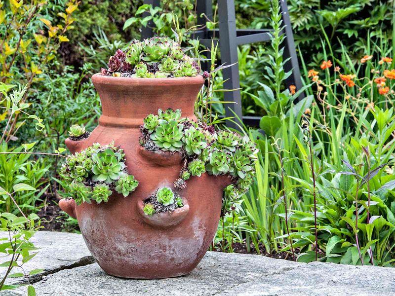 Small Pots Dry At Different Speeds Small Pots Dry At Different Speeds