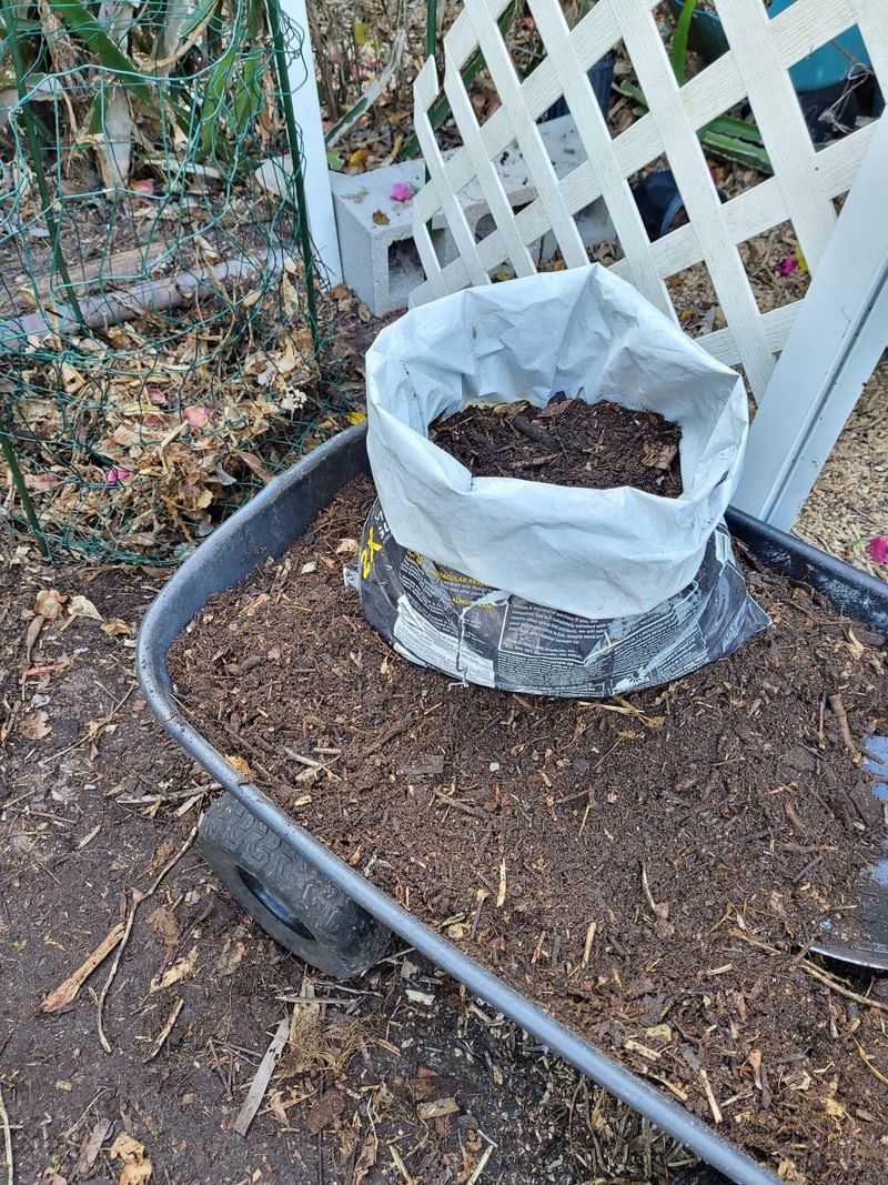 Small Vegetative Debris Works Well In A Compost Pile Small Vegetative Debris Works Well In A Compost Pile
