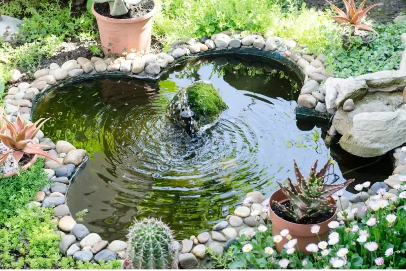 Small Water Features Add Backyard Biodiversity Small Water Features Add Backyard Biodiversity