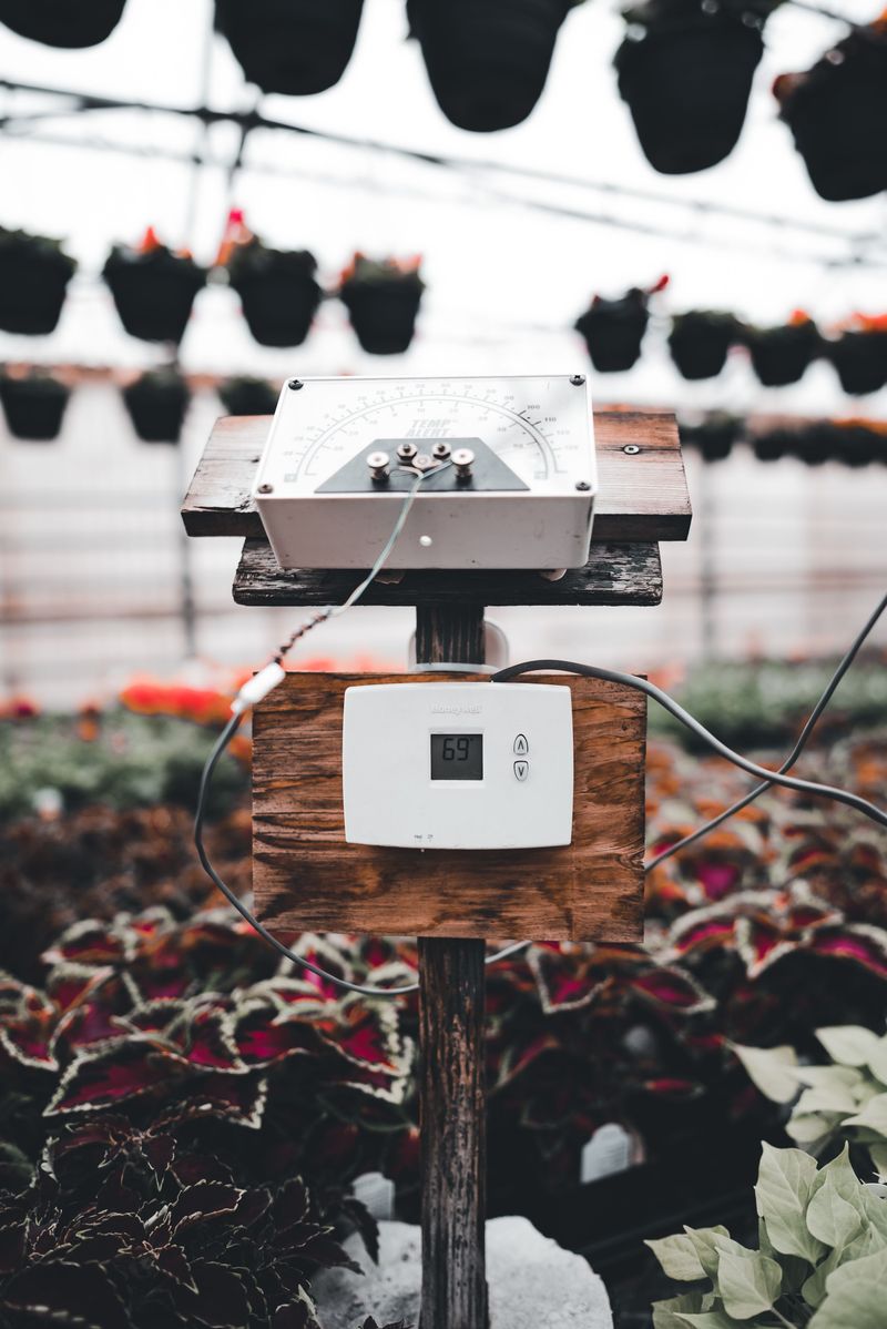 Smart Tools And Upgrades That Make Your Watering Schedule Easier To Manage