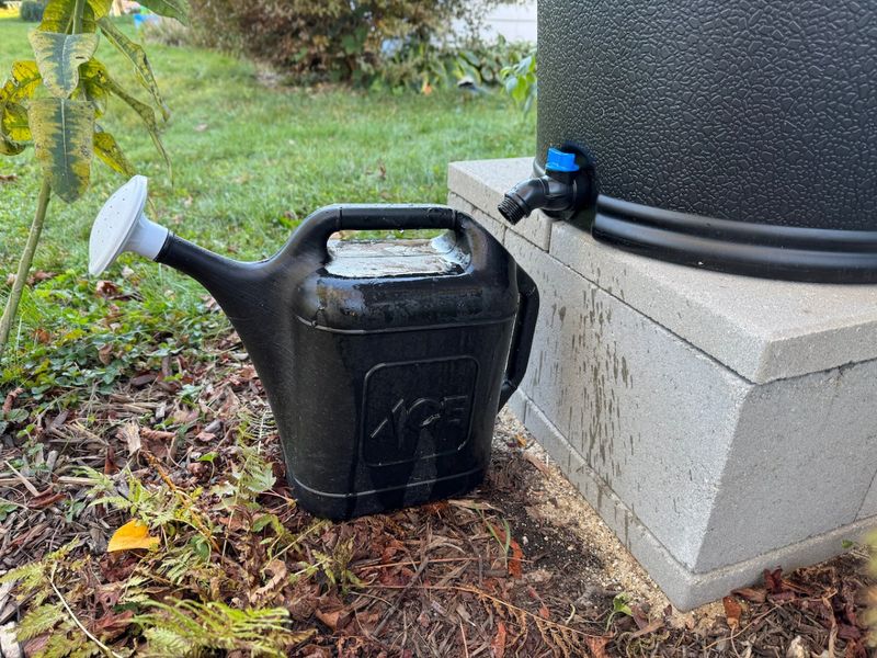 Smart Watering Habits Help Every Gallon Go Further Smart Watering Habits Help Every Gallon Go Further