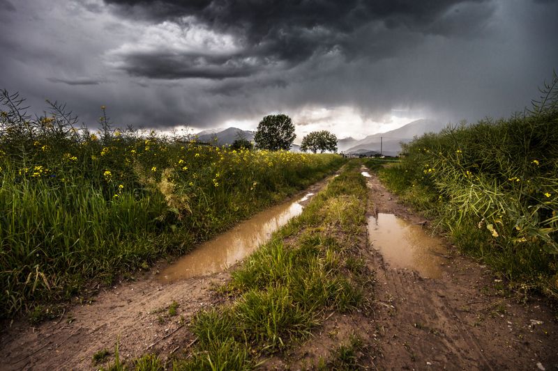 Smarter Watering Habits Before A Thunderstorm Smarter Watering Habits Before A Thunderstorm