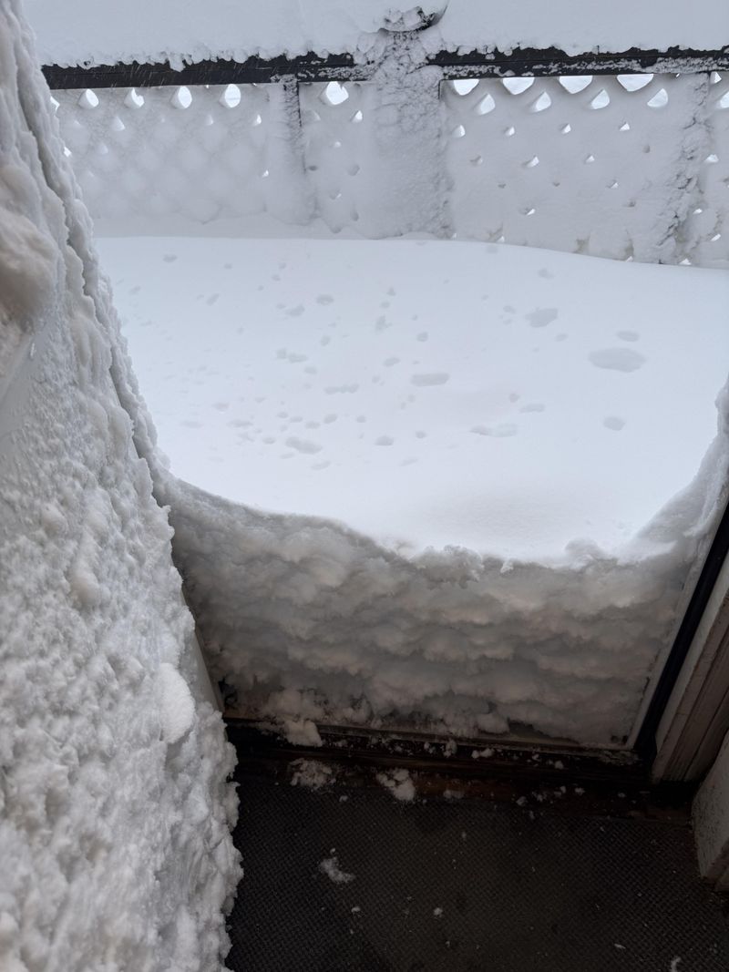 Snow Piles Crush Weak Stems