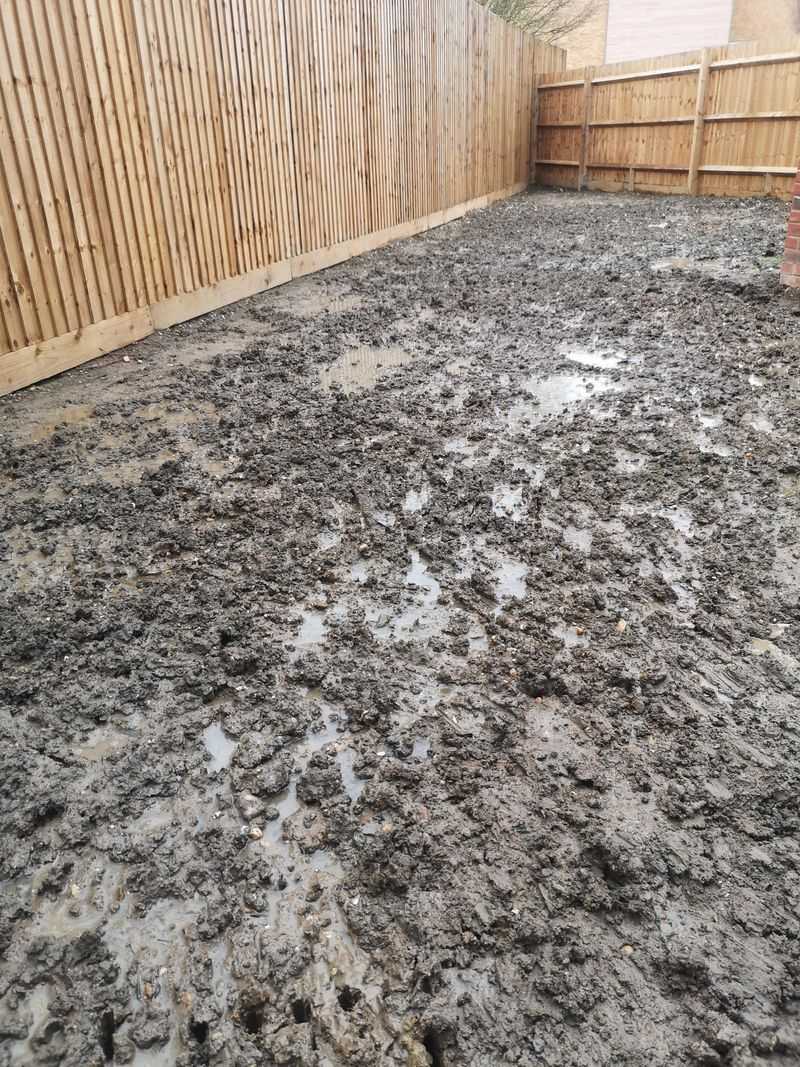Soggy Soil Before A Heatwave Signals Poor Drainage Or Compaction