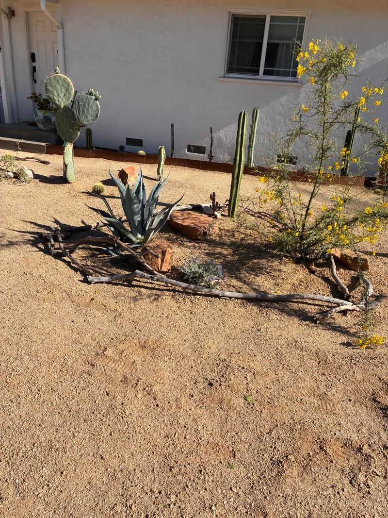 Soil Beside The Wall Dries Out Faster
