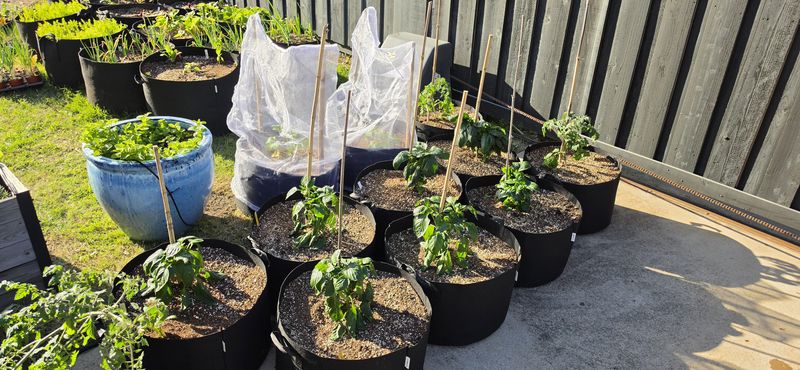 Soil Compaction Is Less Likely To Develop