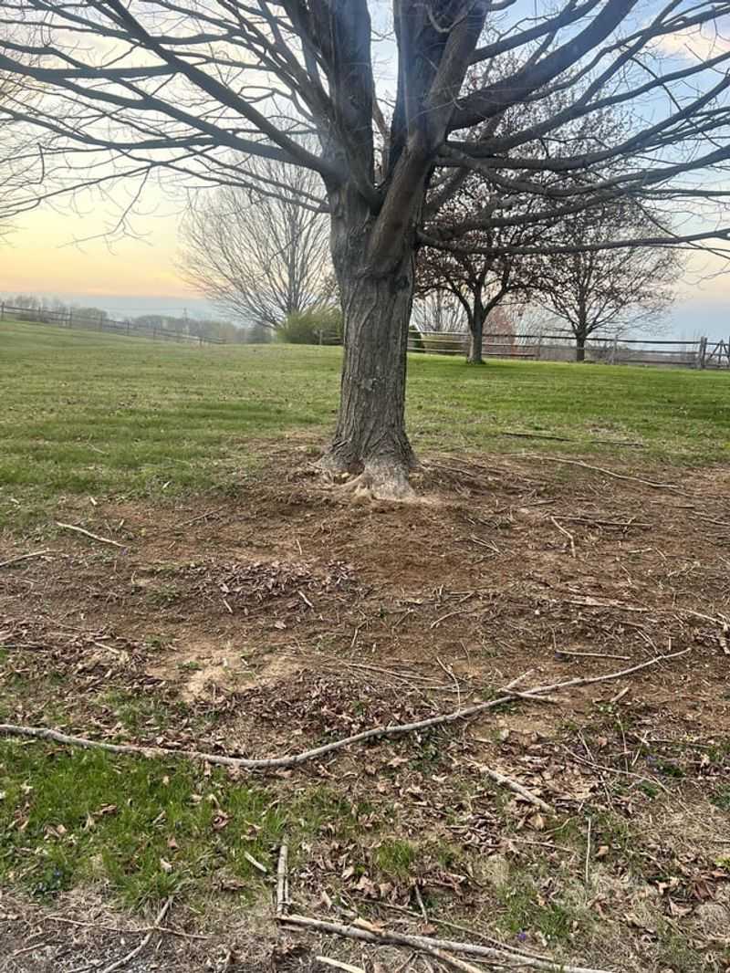 Soil Conditions Across New York Make Stress Worse Soil Conditions Across New York Make Stress Worse