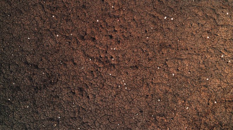 Soil Dries Out Much Faster Than Usual Soil Dries Out Much Faster Than Usual