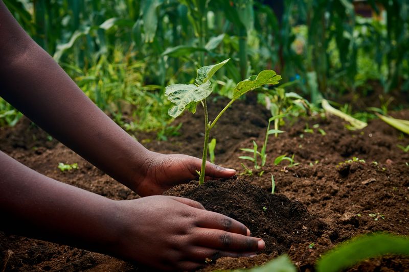 Soil Health Improved Over Years Soil Health Improved Over Years