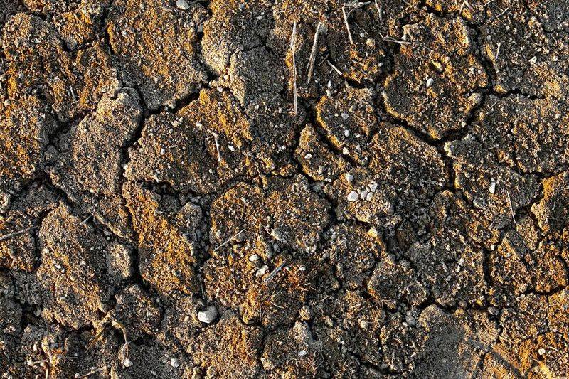 Soil May Be Repelling Or Slowing Water Soil May Be Repelling Or Slowing Water