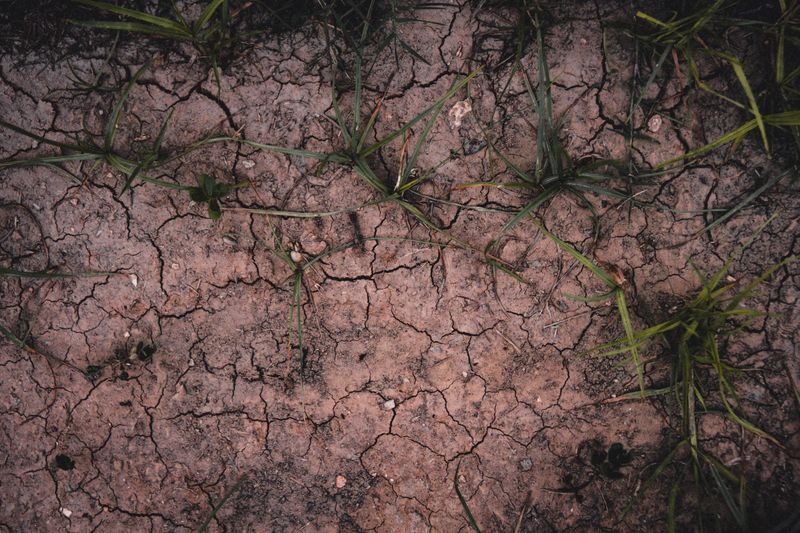 Soil Retains Water Better Than In June Soil Retains Water Better Than In June