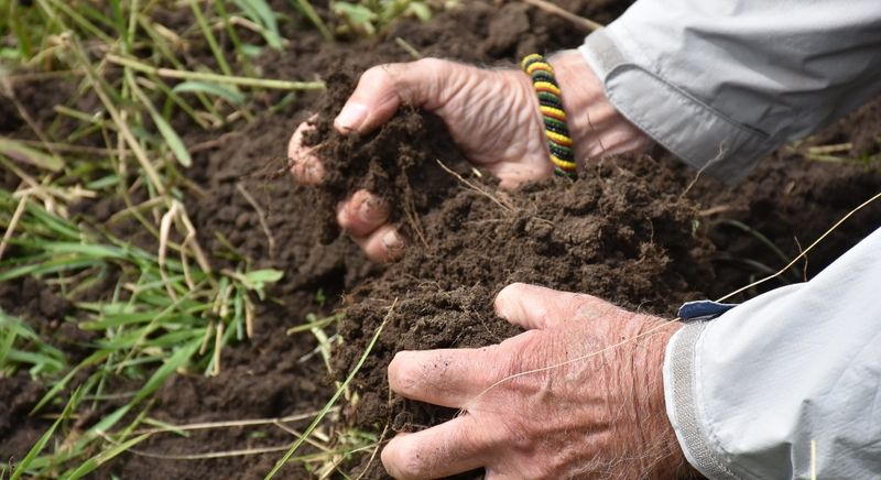 Soil Type Affects Watering Needs Soil Type Affects Watering Needs