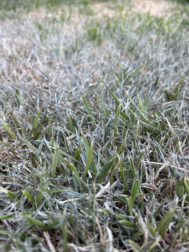 Soil Type Changes Timing