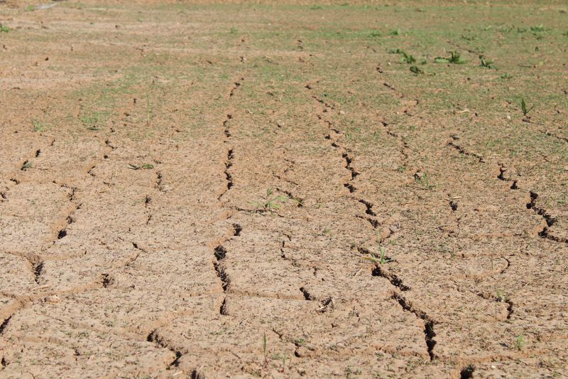 Soil Types Across Indiana Drained Faster Than Neighboring States Soil Types Across Indiana Drained Faster Than Neighboring States