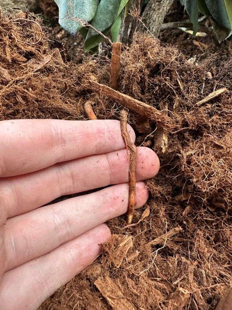 Soil pH And Composition In The Appalachian Foothills Soil pH And Composition In The Appalachian Foothills