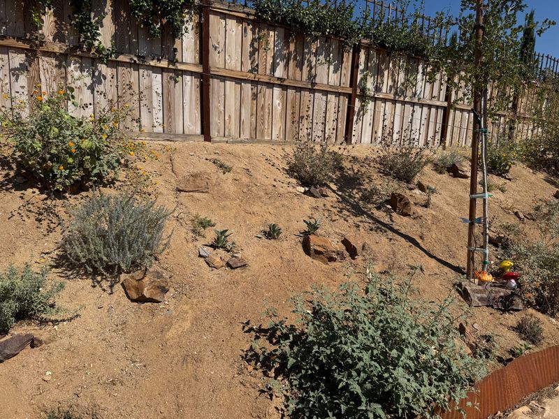 South-Facing Yards Feel Restrictions Hardest South-Facing Yards Feel Restrictions Hardest