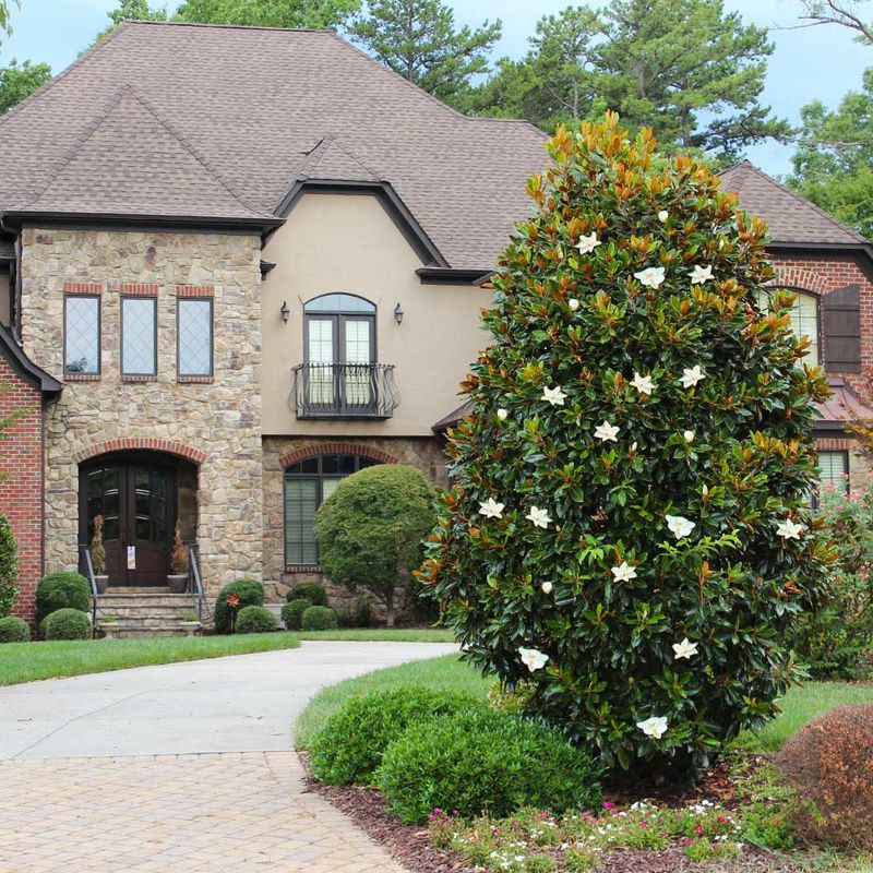 Southern Magnolia Owns The Coastal Look Southern Magnolia Owns The Coastal Look