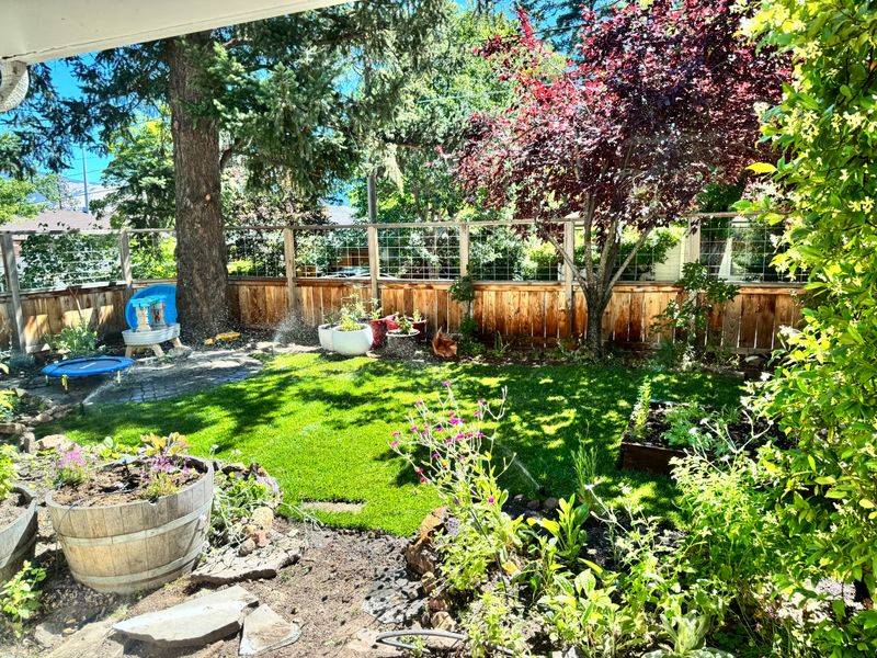 Southern Oregon: Protect Plants From Extreme Heat