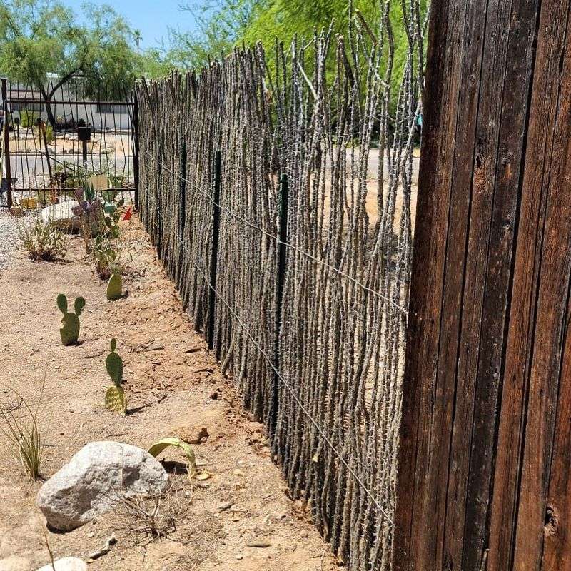 Space The Stems For A Stronger Fence Space The Stems For A Stronger Fence