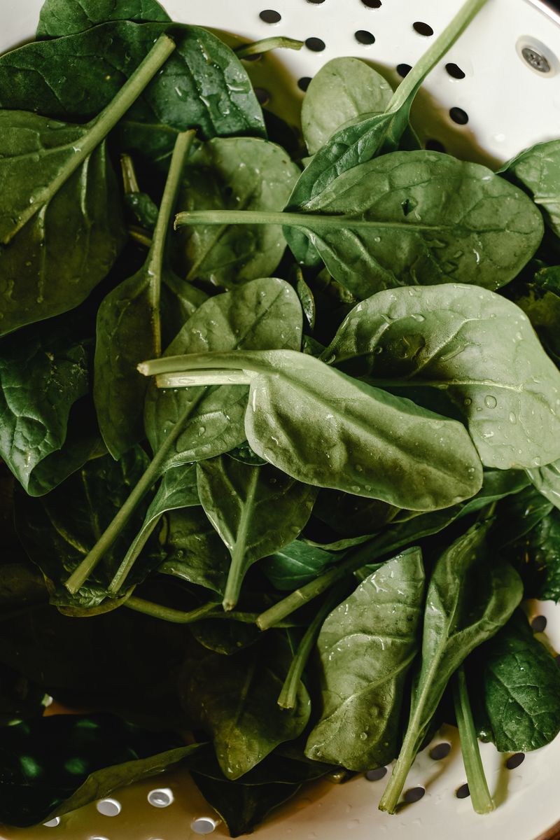 Spinach Spinach