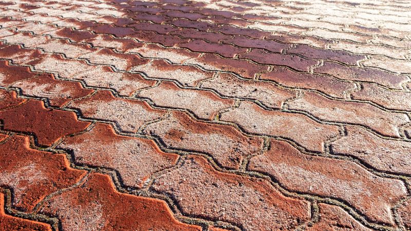 Spray Vinegar Solution Around Paver Edges