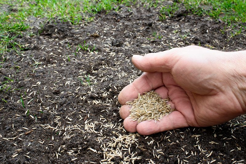 Spring Seeding Works But Needs More Care