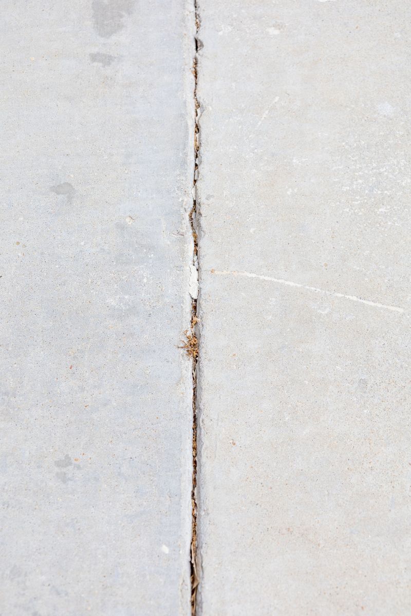 Sprinkle Diatomaceous Earth Along The Cracks