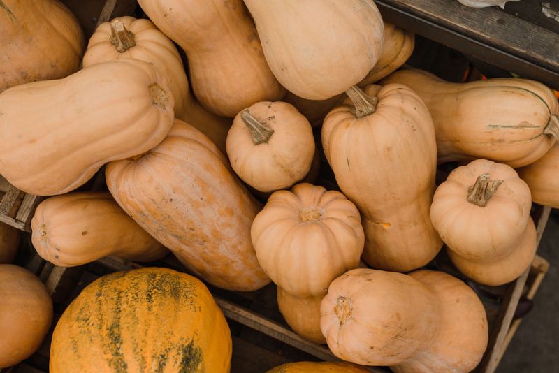 Squash