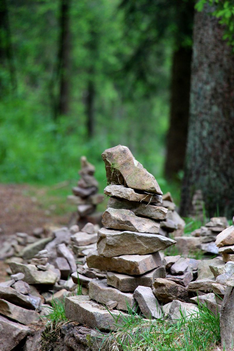 Stack Rocks Around It For A Natural Look
