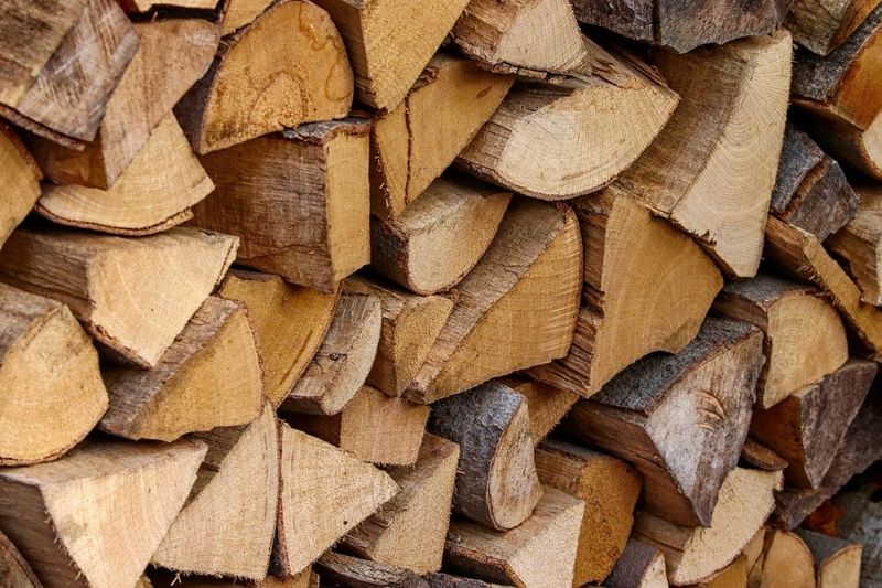 Stacked Firewood Gives Roaches Hiding Spots Stacked Firewood Gives Roaches Hiding Spots