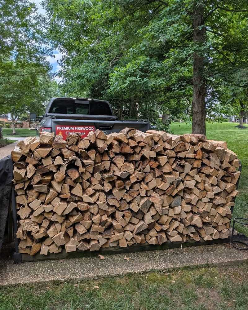 Stacked Logs Create Dark Hiding Space Stacked Logs Create Dark Hiding Space