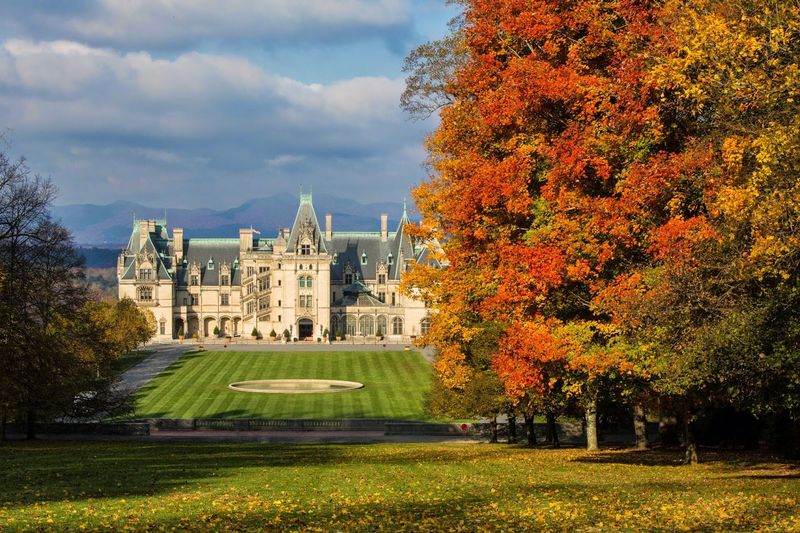 Stand Under Biltmore's Champion Giants Stand Under Biltmore's Champion Giants