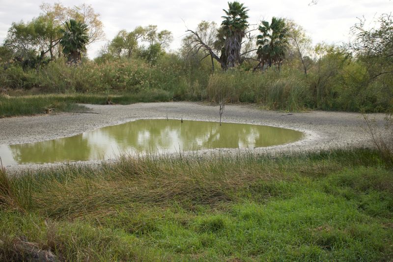 Standing Water And Breeding Conditions Nearby Standing Water And Breeding Conditions Nearby