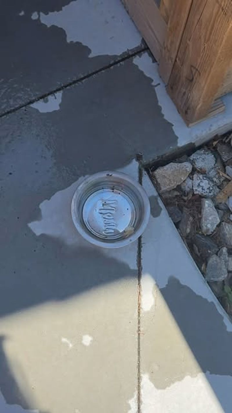 Standing Water Still Needs Removal