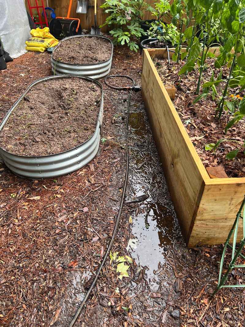 Standing Water Warns Of Poor Drainage Standing Water Warns Of Poor Drainage