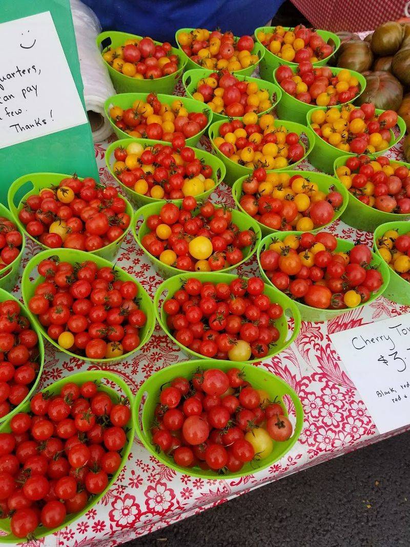 Start At Clintonville Farmers Market Start At Clintonville Farmers Market
