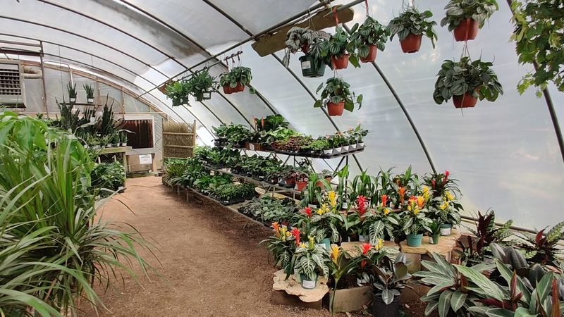 Start At The Natural Gardener In Austin Start At The Natural Gardener In Austin