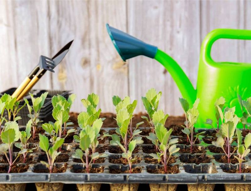 Start Fall Crops With Steady Water Start Fall Crops With Steady Water