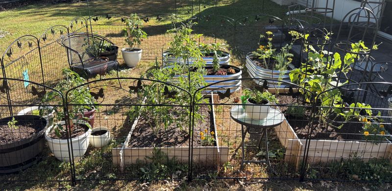 Start Fall Vegetables While Beds Are Warm Start Fall Vegetables While Beds Are Warm