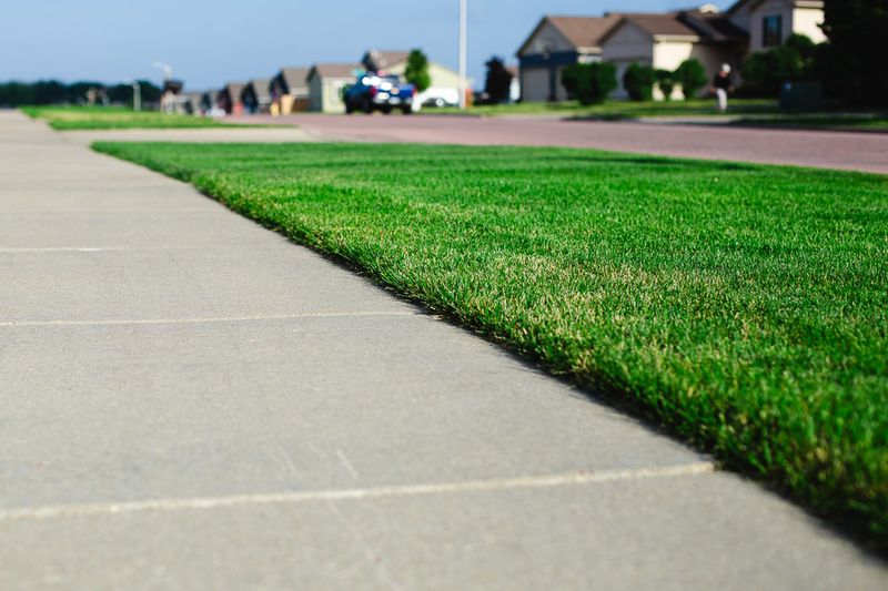 Start With A Cleaner Walkway Edge Start With A Cleaner Walkway Edge