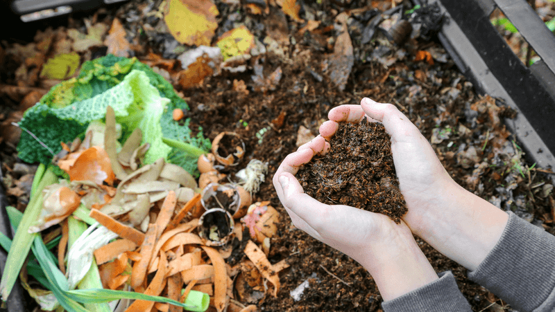 Start With Compost Before Reaching For Anything Stronger Start With Compost Before Reaching For Anything Stronger