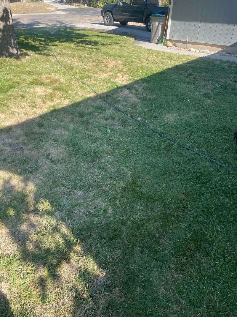 Start With The Worst Turf First