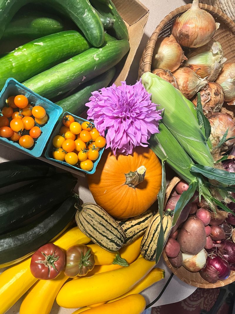 Statewide: Harvest Often To Keep Plants Producing